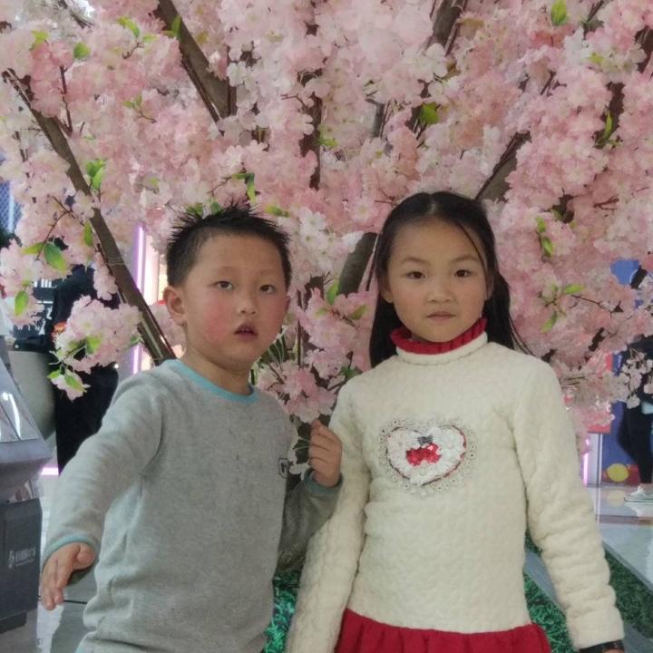 万华禾香板
