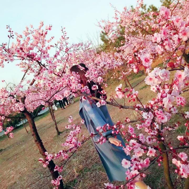 若只如初见🍀