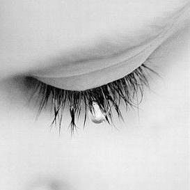 倾一座城，淡一场梦 1909