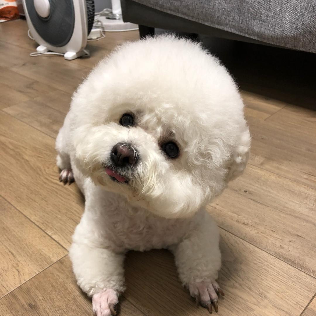 遥远