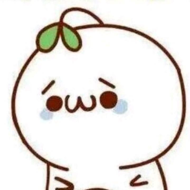 潇洒年华
