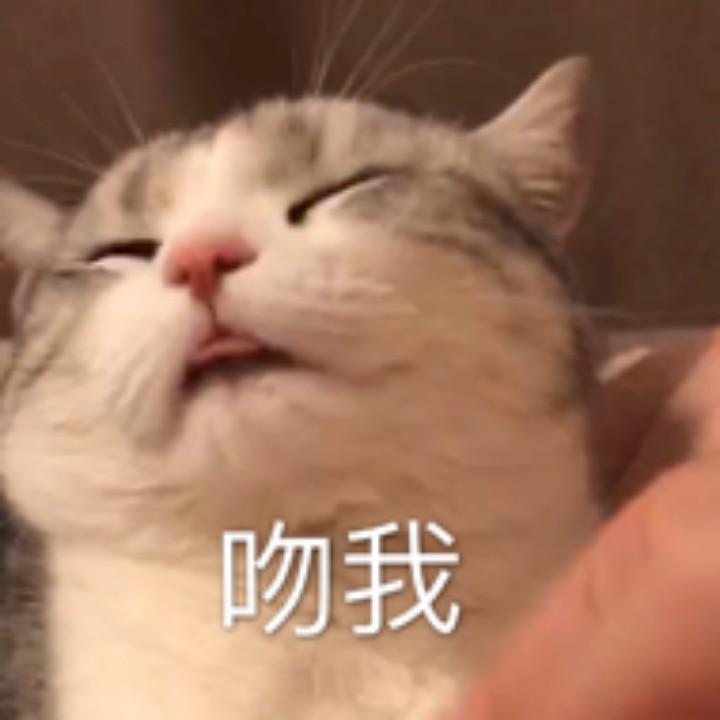 奇点。