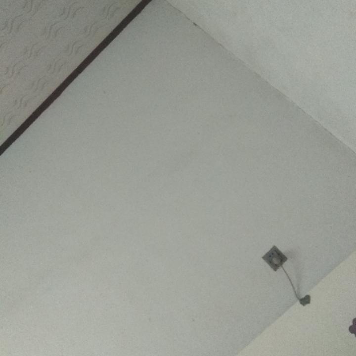 张雨