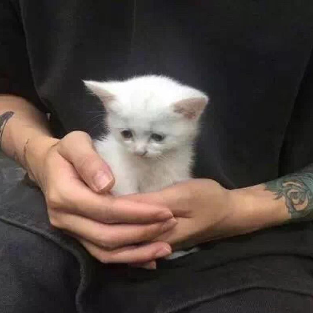 斌