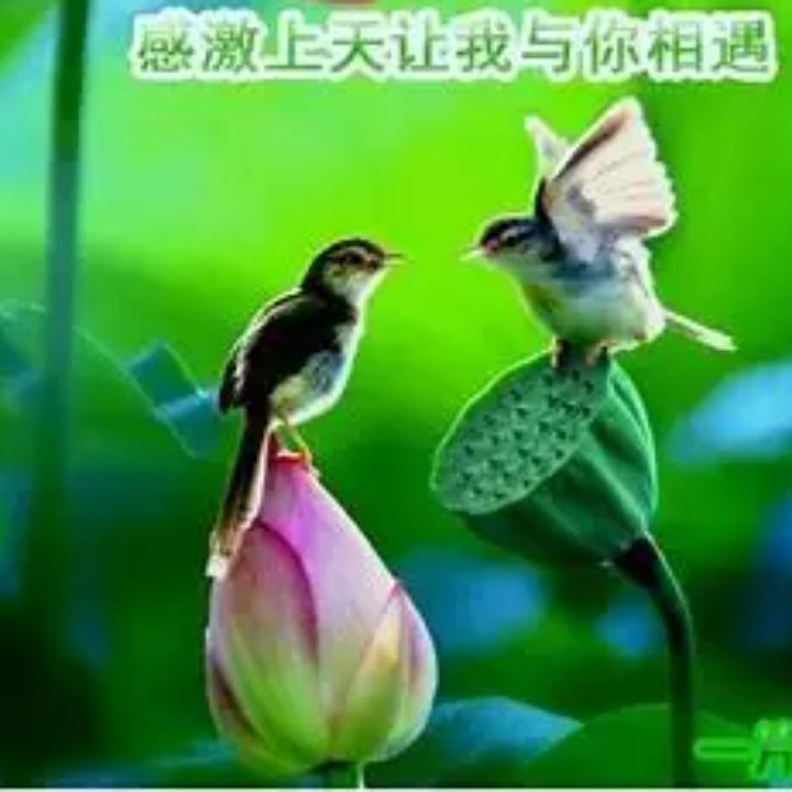 猜不透的你