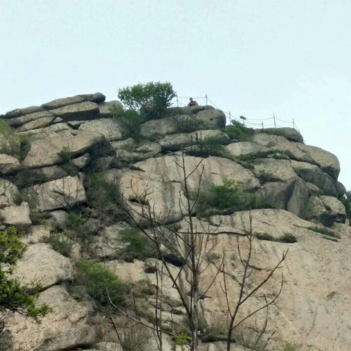 甲壬
