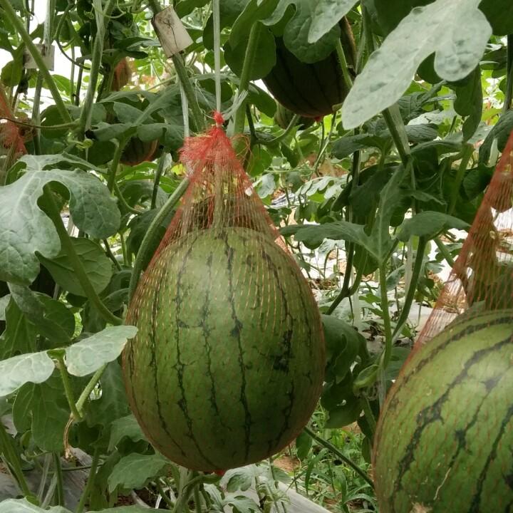 小心点