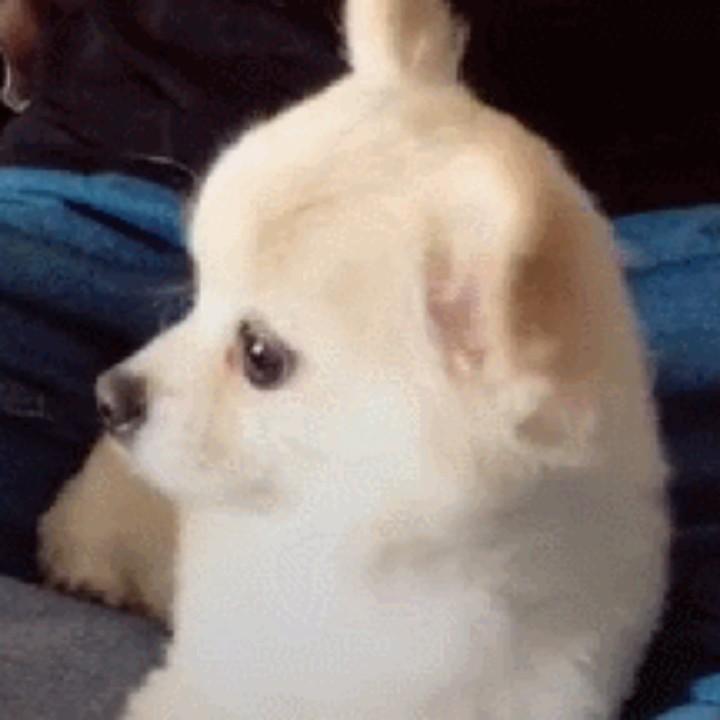 吉祥如意