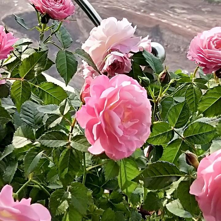 🌈蒋蒋蒋酱🌈