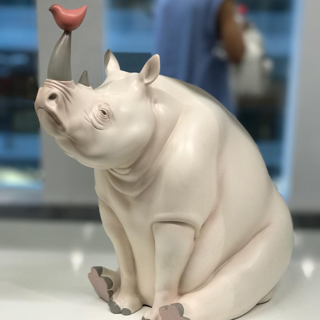 灰犀牛