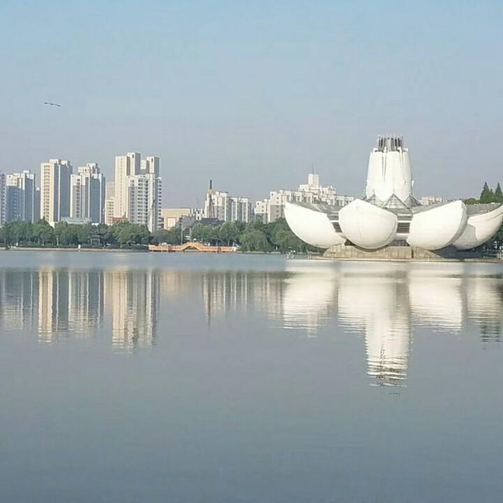 大阳小泽