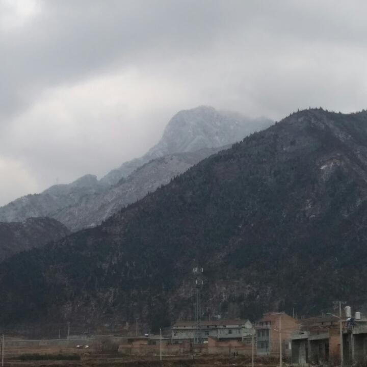 儒雅