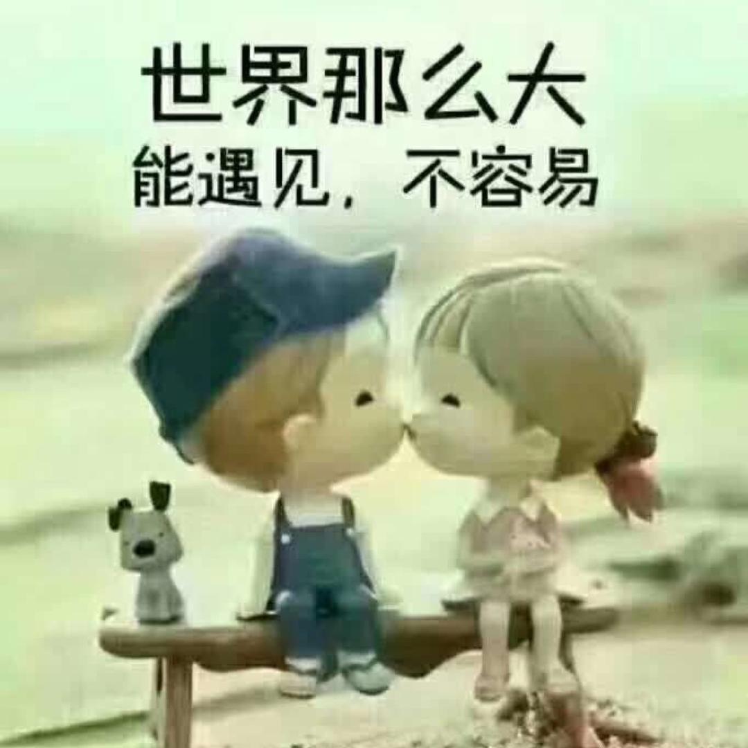 ✨镜花缘✨