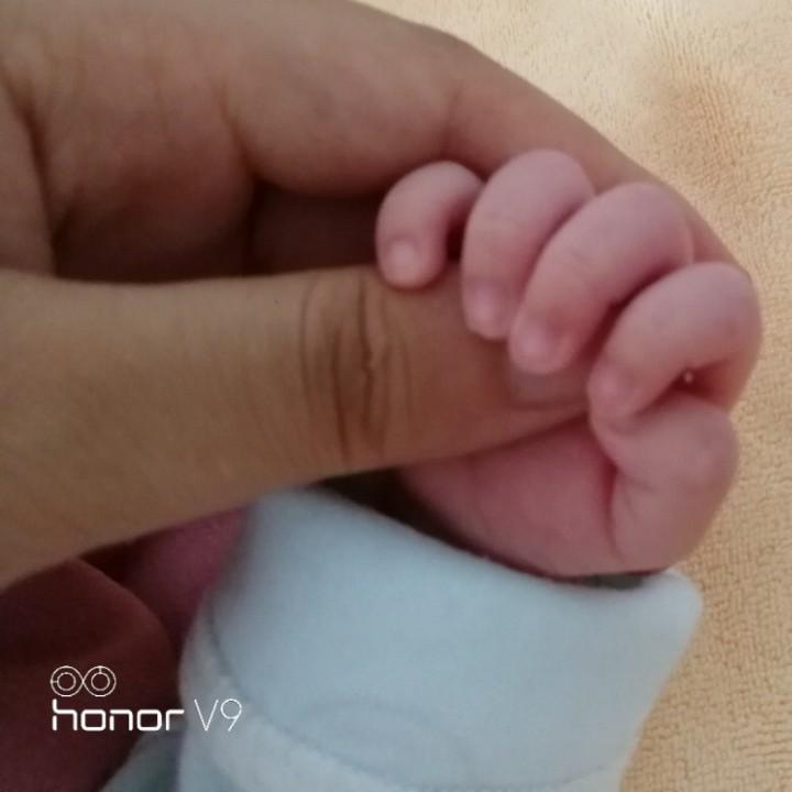 小皮球皮又皮