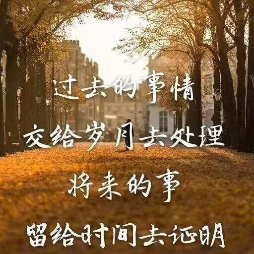 油菜花