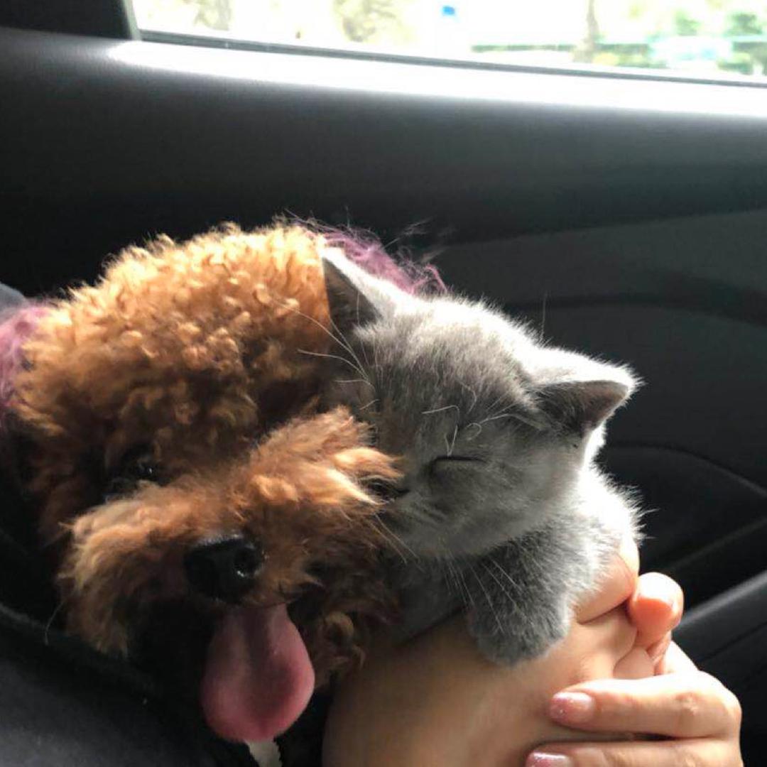 疼爱❤️
