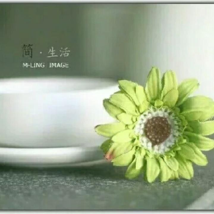 ヽ(✿￫∀￩)ﾉ 匆匆过客