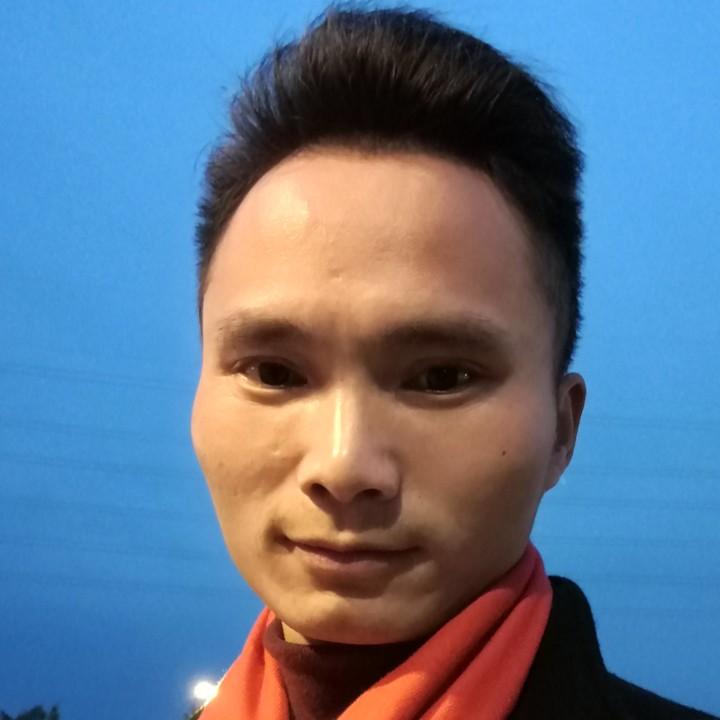 杨总