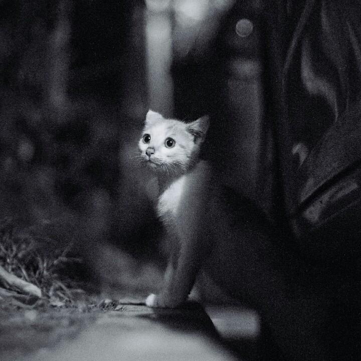 咿呀baby