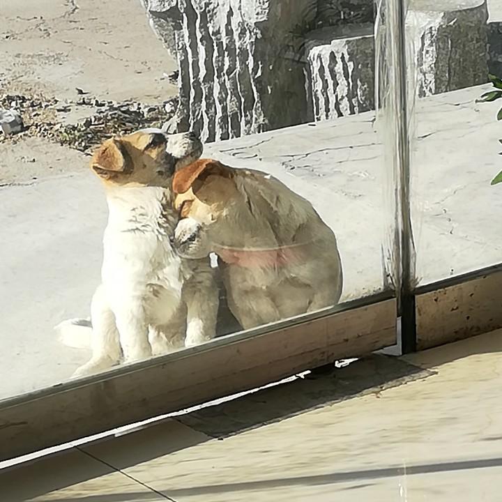 感恩遇到你！
