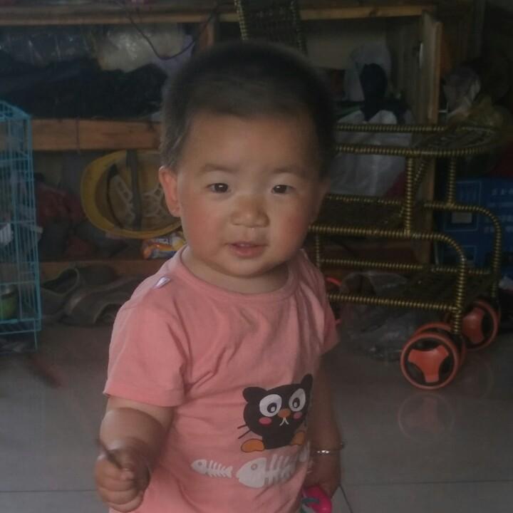 树林