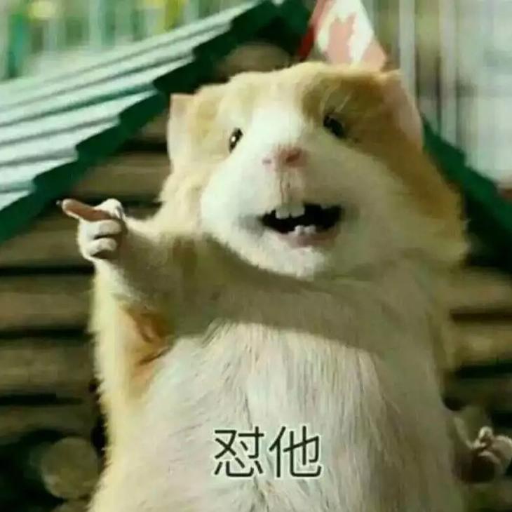 🌈……啷个哩个浪