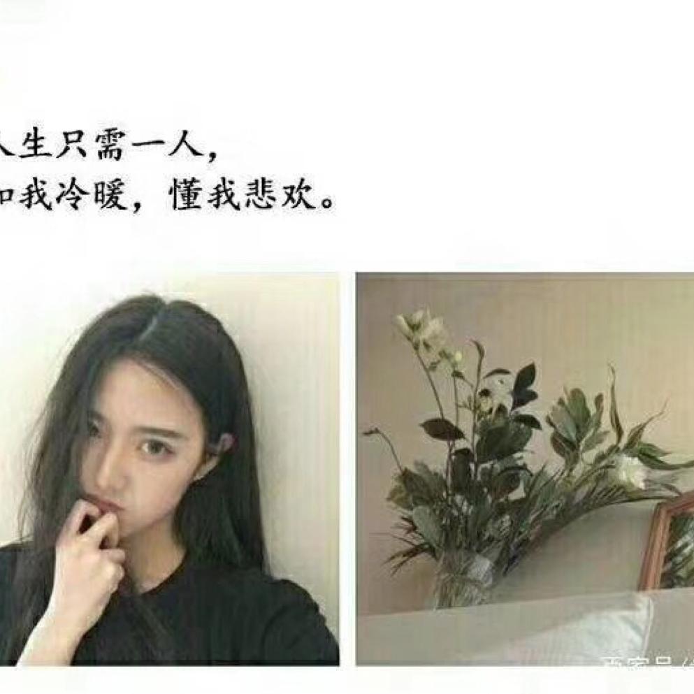 米乐 米宝 妈妈