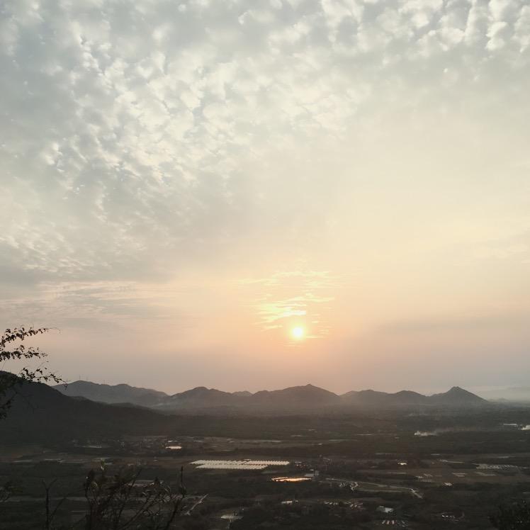 浓茶卡迪