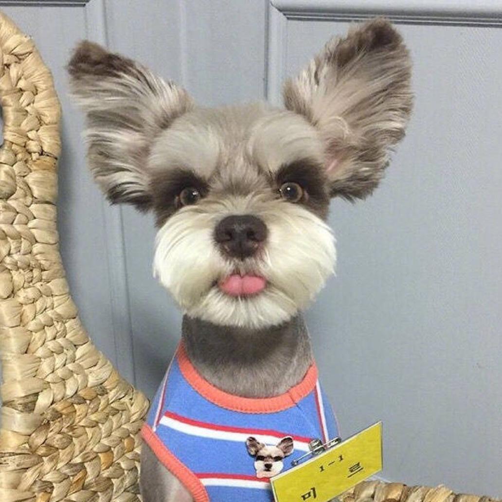 是个帅气小叔叔