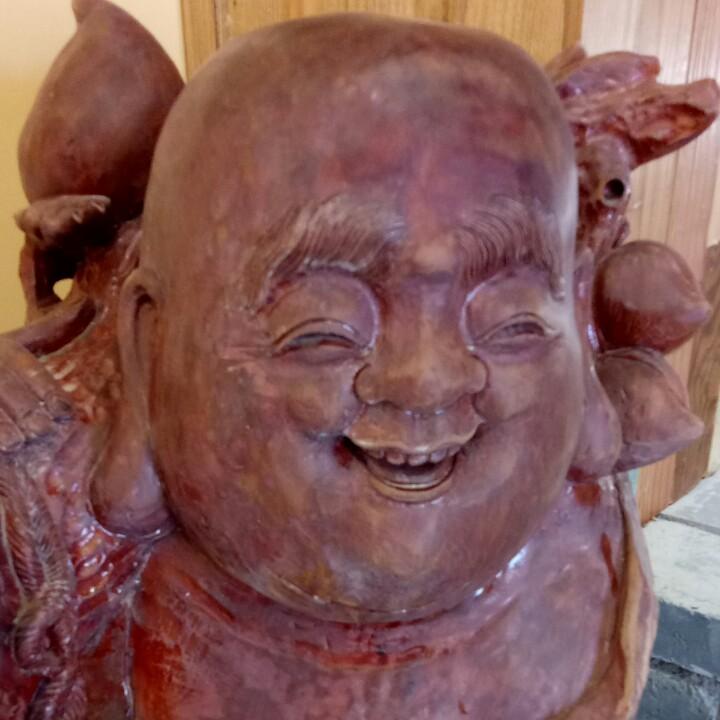 阿米哥