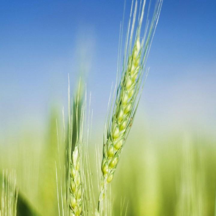 不务正业的老刘