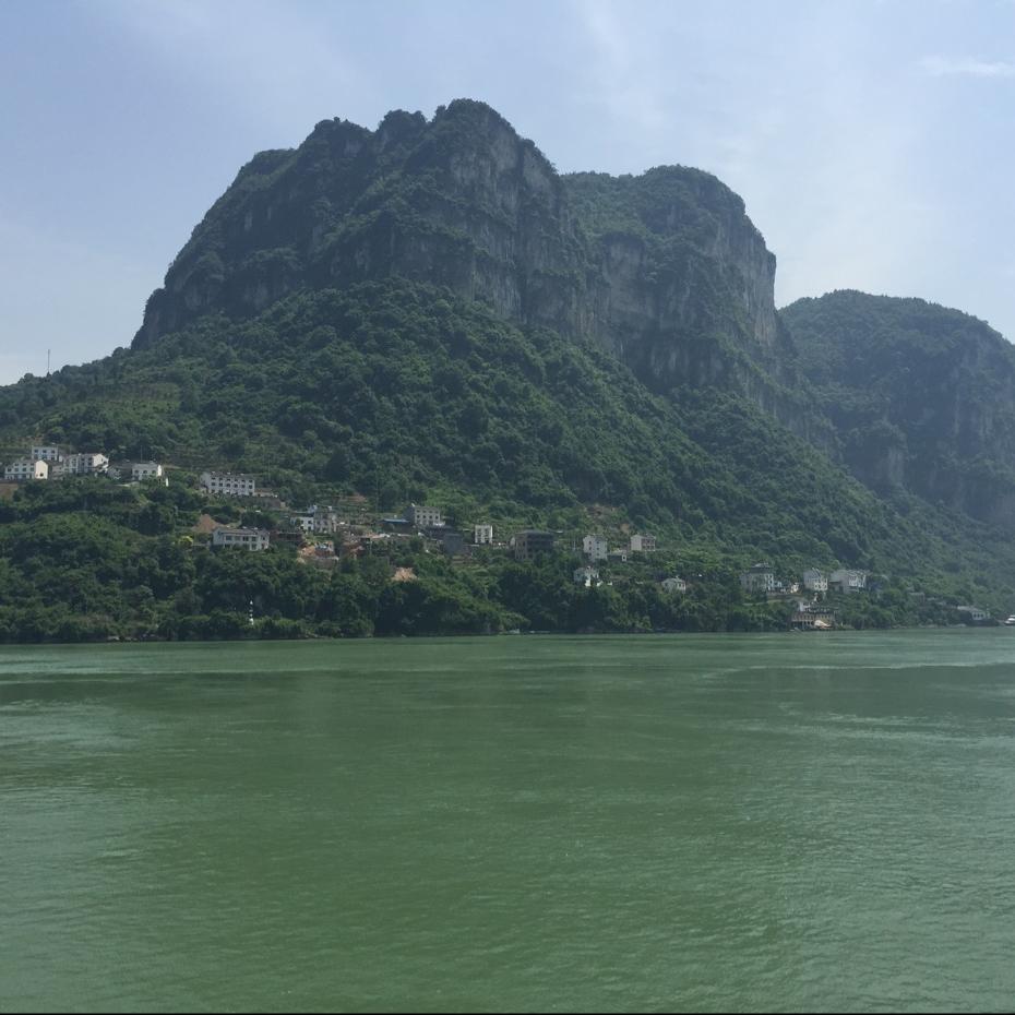 岐黄问道