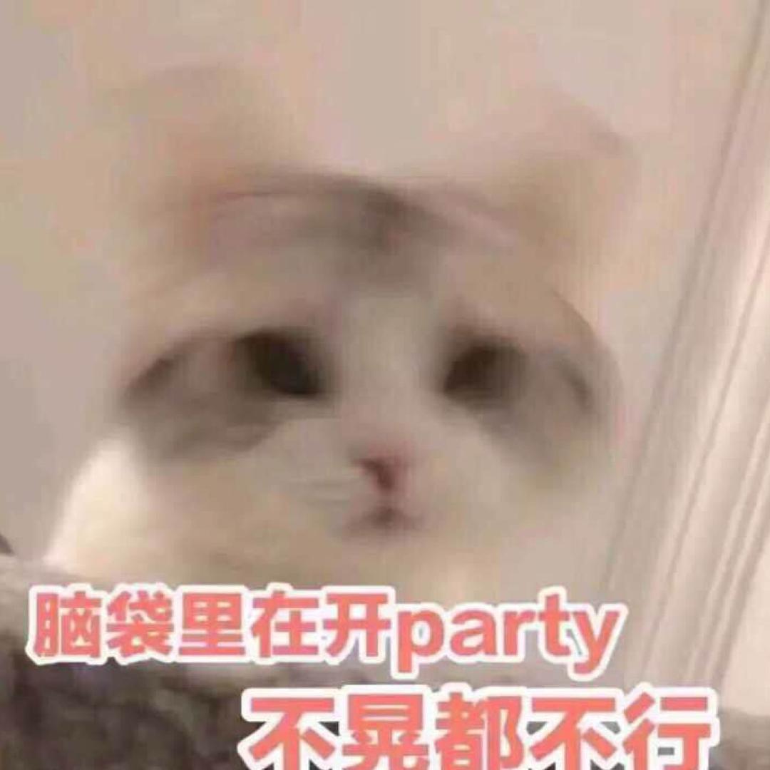 打鸡血的疯猫