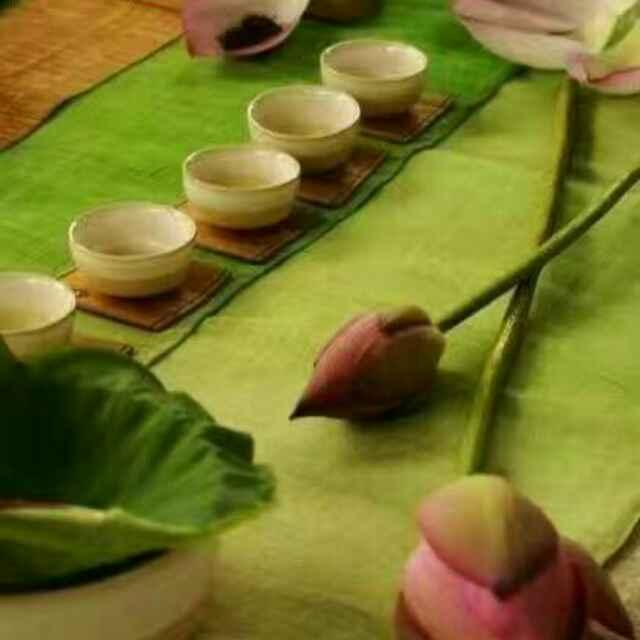 郑海衫