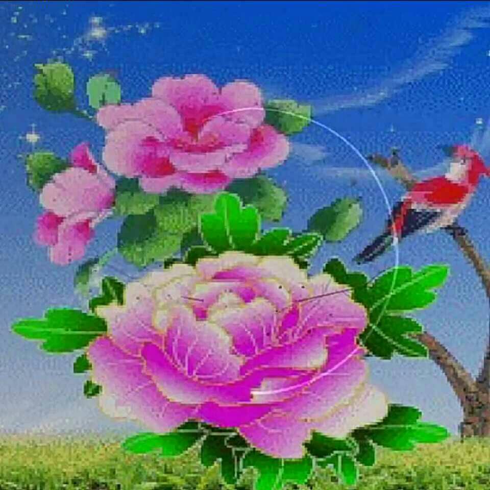 张老师爱唱歌