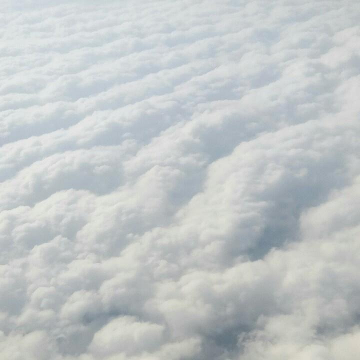 吹过十万里的风