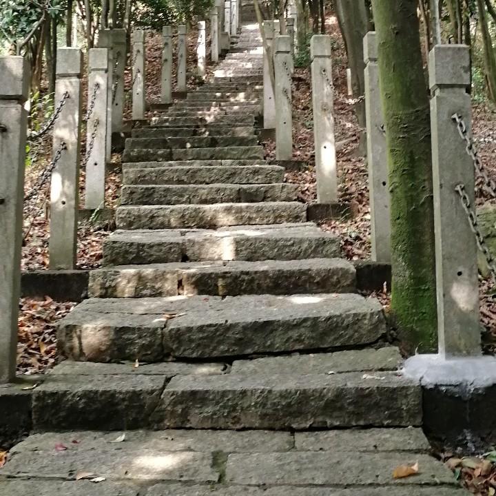 忆青春