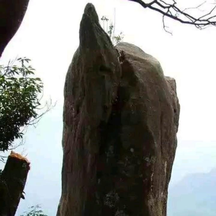 竹雨随缘（橱窗有好物）