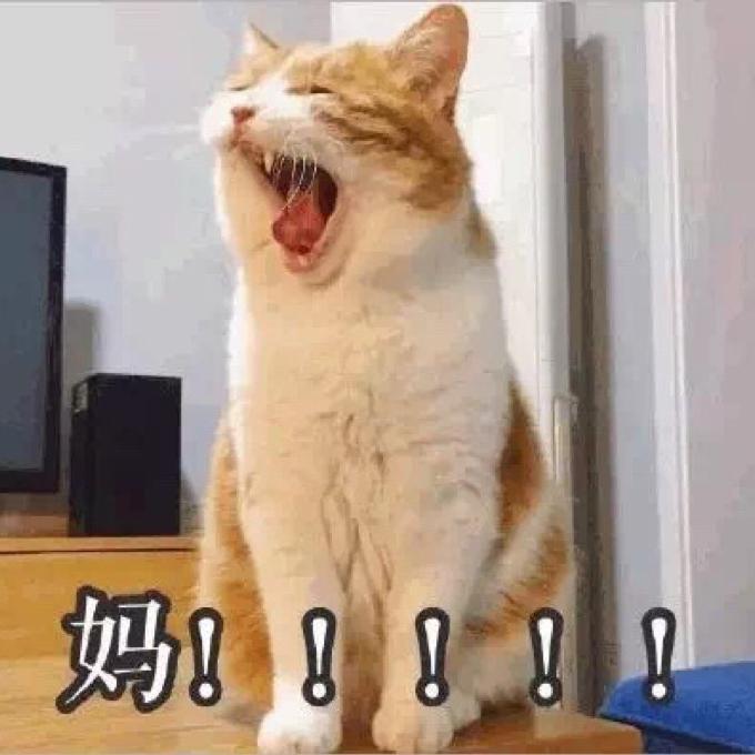 我住隔壁我姓王