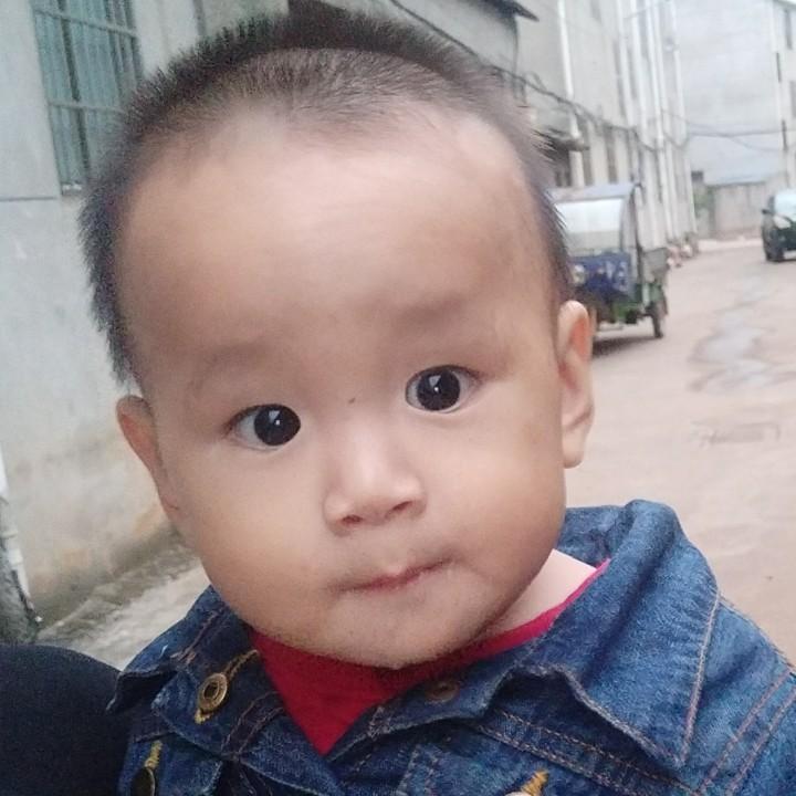 陽🐏🐏🐏🐏陽