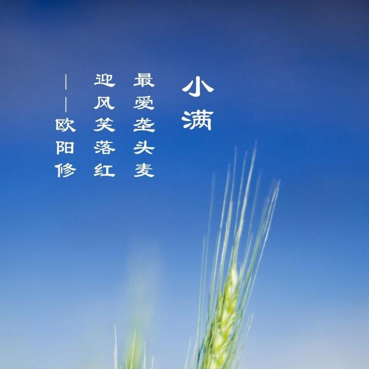 叫我mt