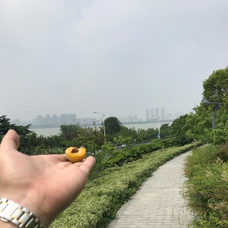 规划许可证