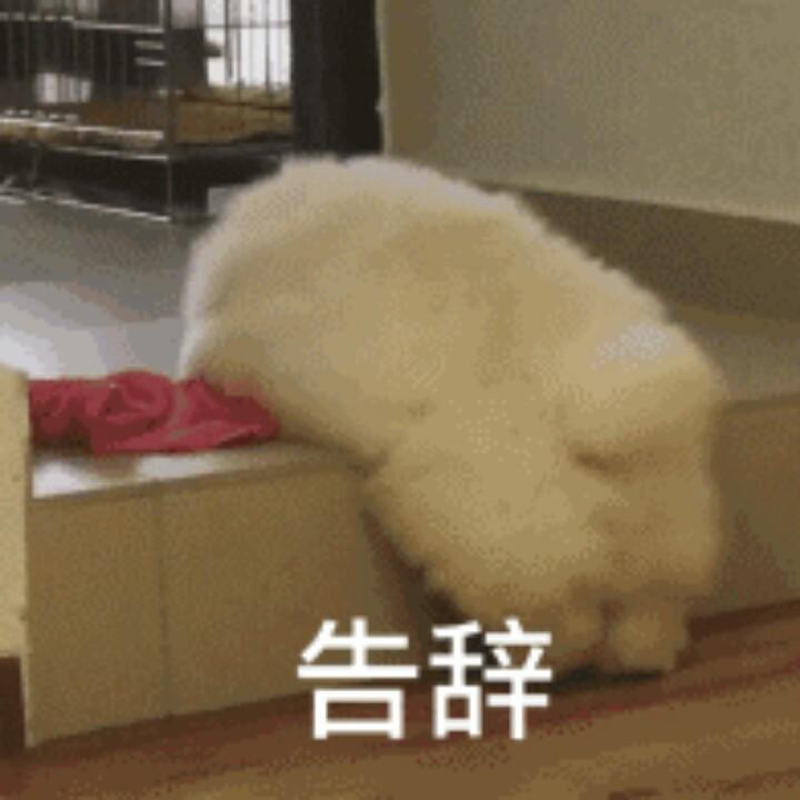 幼稚园大佬。