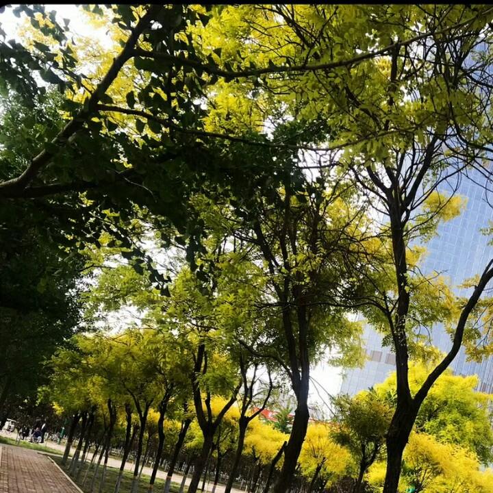 哥俩好