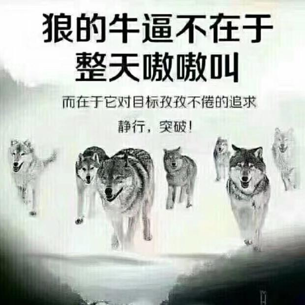 凤翔温泉张兴辉