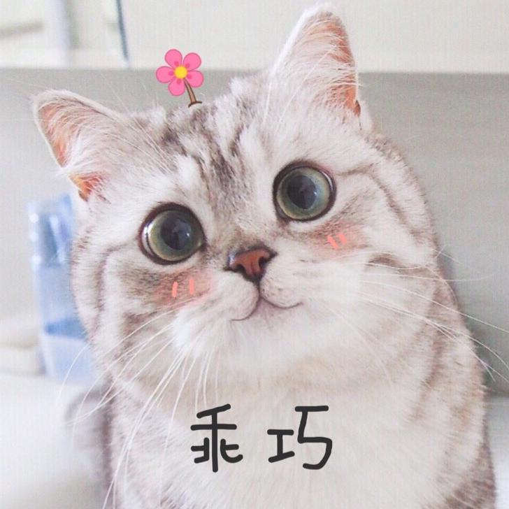 小游鱼～