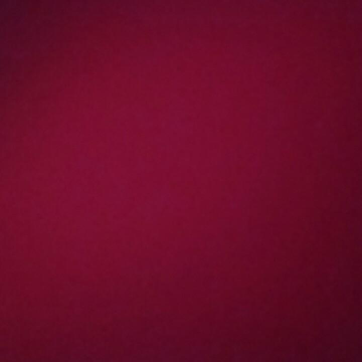 龙哥