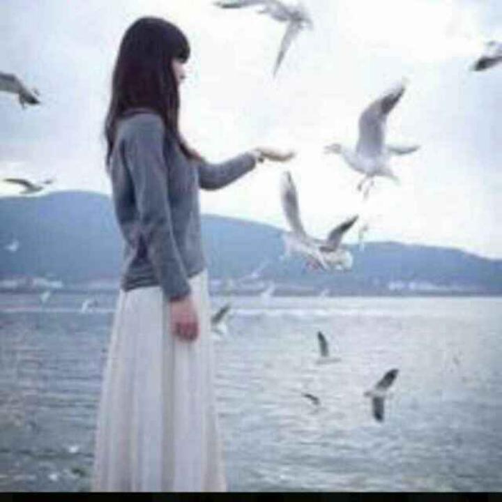 时光碎片