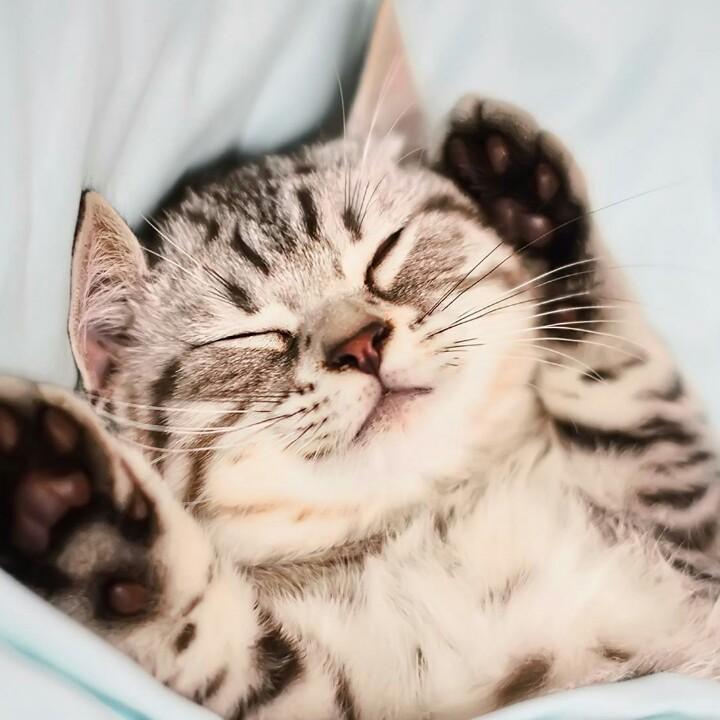 用户夏天7814516681485