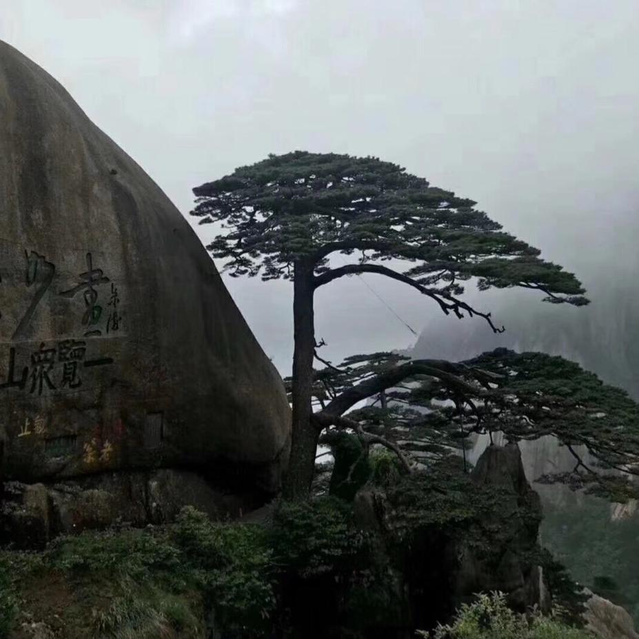 羨波（和平/使命/三角洲）